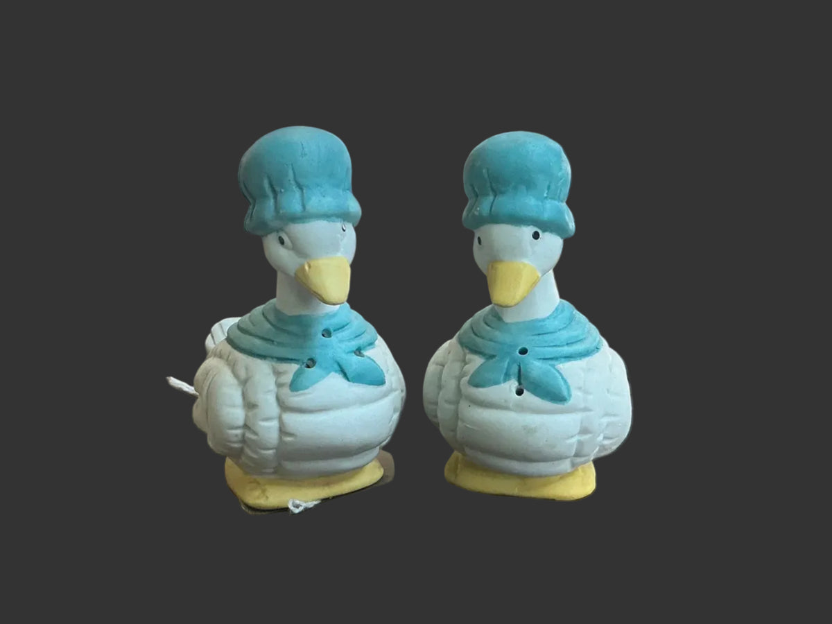 Duck Salt and Pepper Shaker Set
