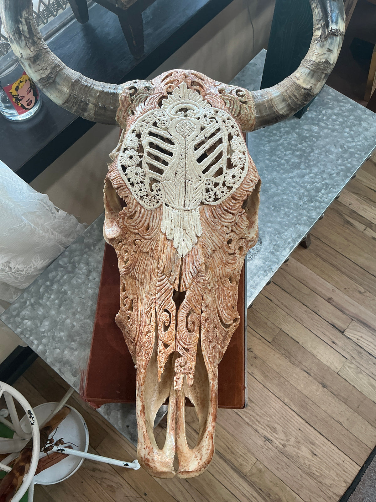 Dale Aubuchon Brown Cow Skull